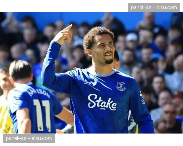 切尔西引援策略调整，关注英超经验球员恩迪亚耶